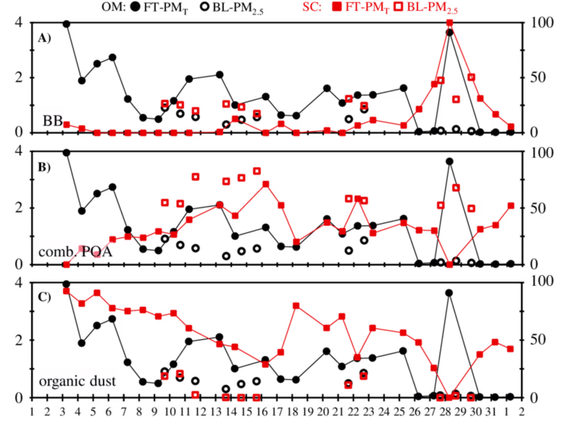 Cover image for Project on Anomaly Detection using Graph Neural Networks