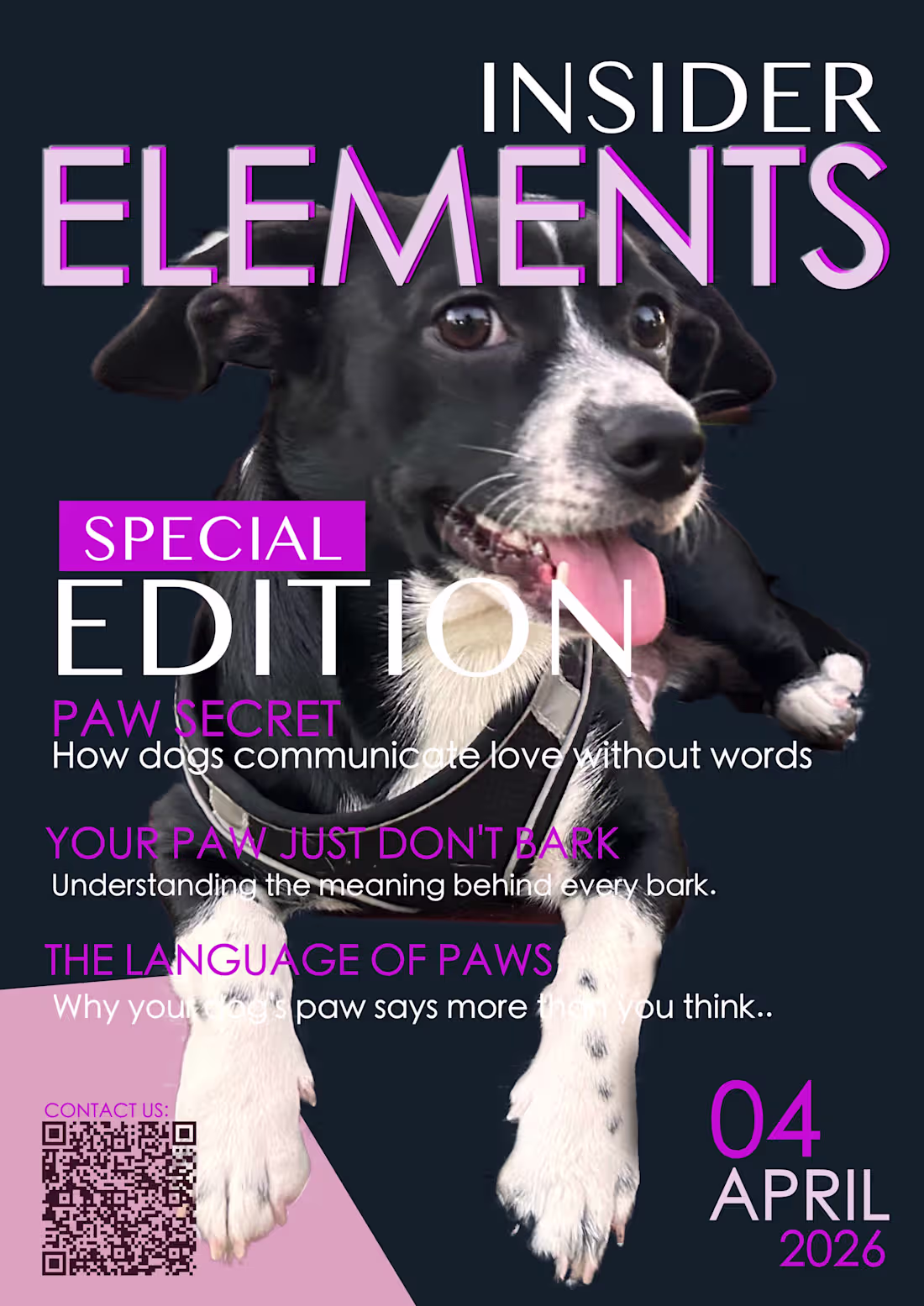 Cover image for Magazine Cover artwork