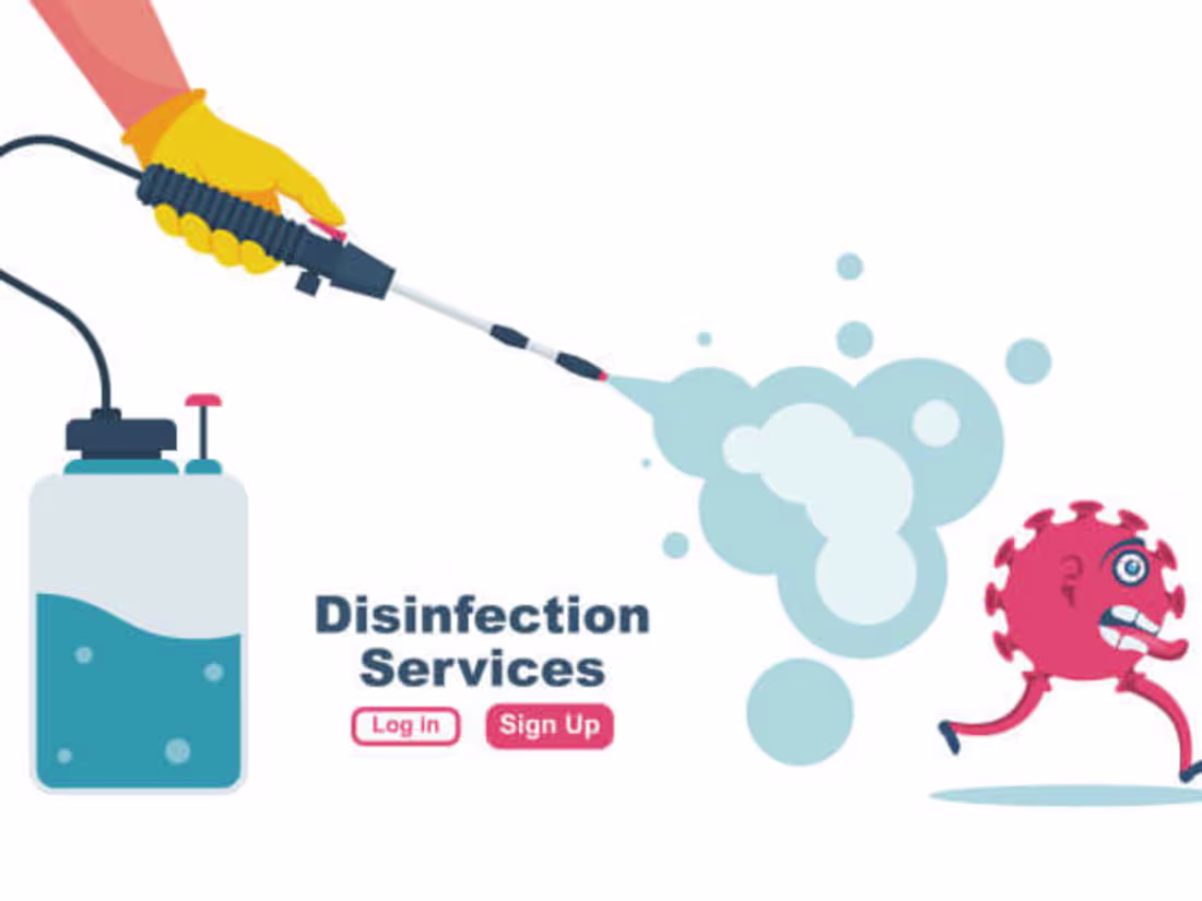 Cover image for Website Content Writing for Online Store