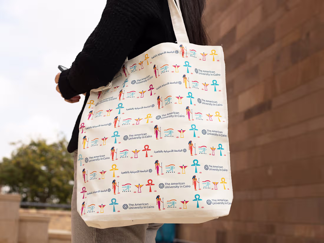 Cover image for AUC Flavor of Cairo