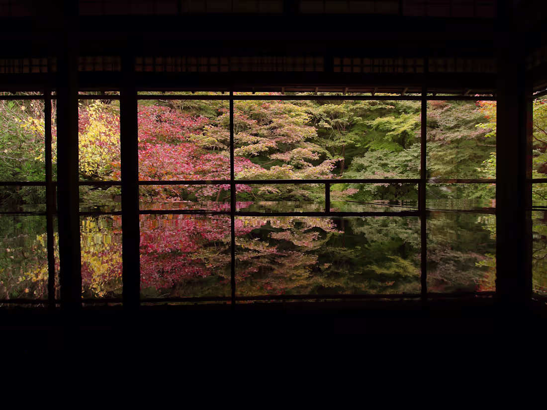 Cover image for 瑠璃光院-秋の特別拝観　Kyoto,Japan