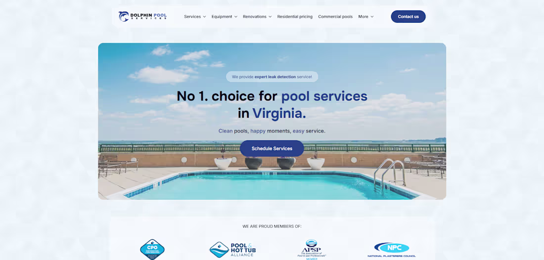 Cover image for Website Design and Development for Dolphin Pool Services