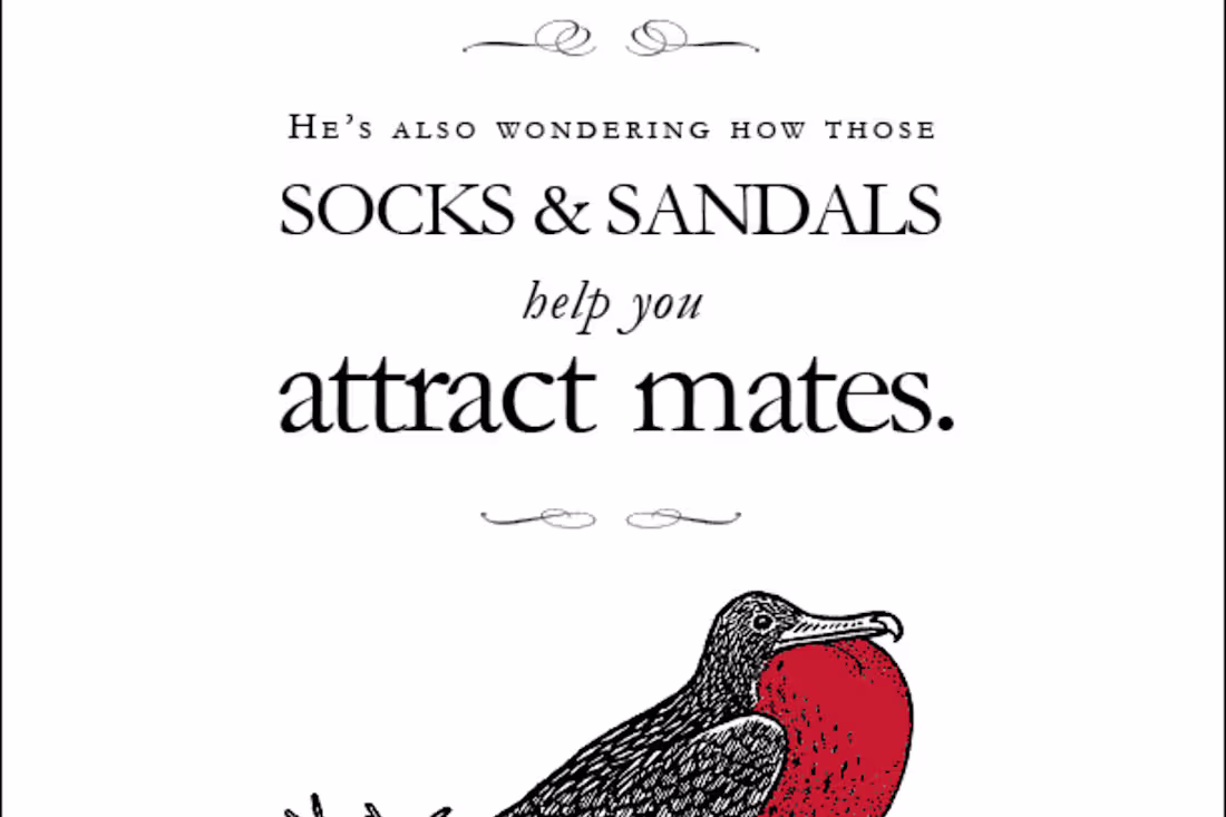 Cover image for Galapagos Islands Spec Print Ad Campaign