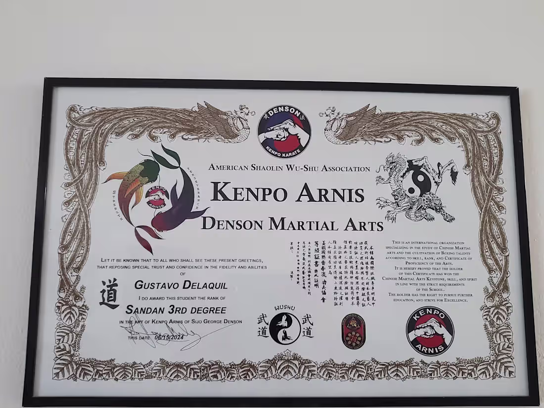 Cover image for Anemone