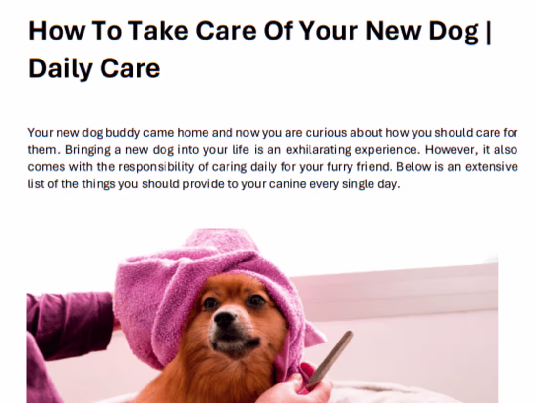 Cover image for Pet Care Article