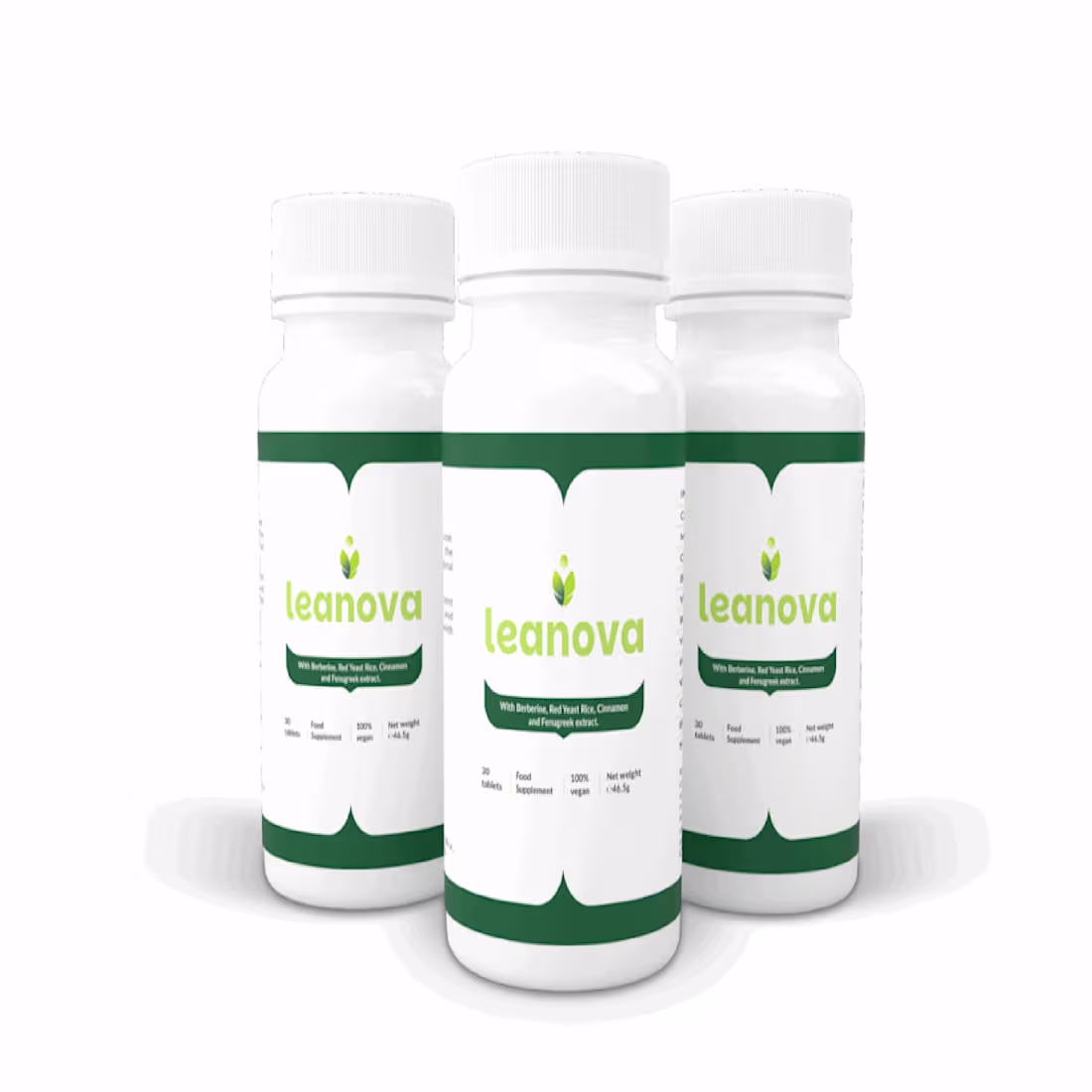 Cover image for Leanova