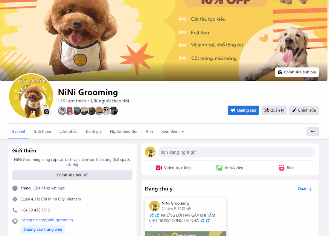 Cover image for Nini Grooming 