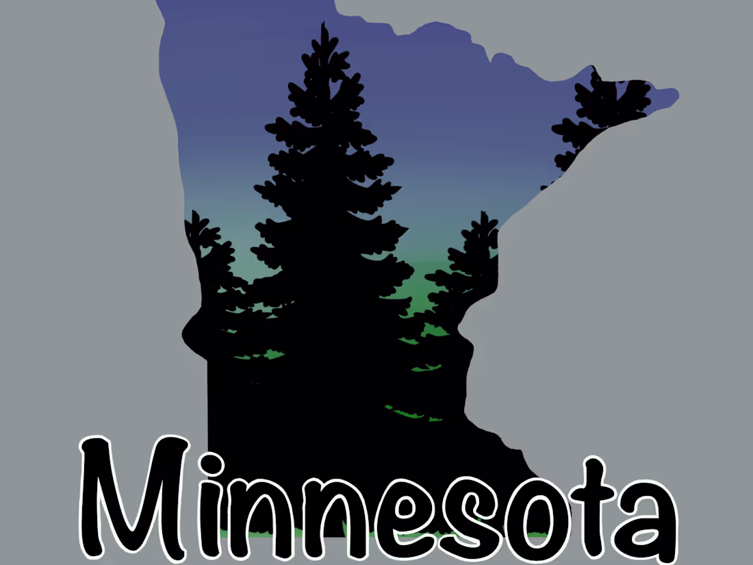 Cover image for Designs for Souvenir Shop