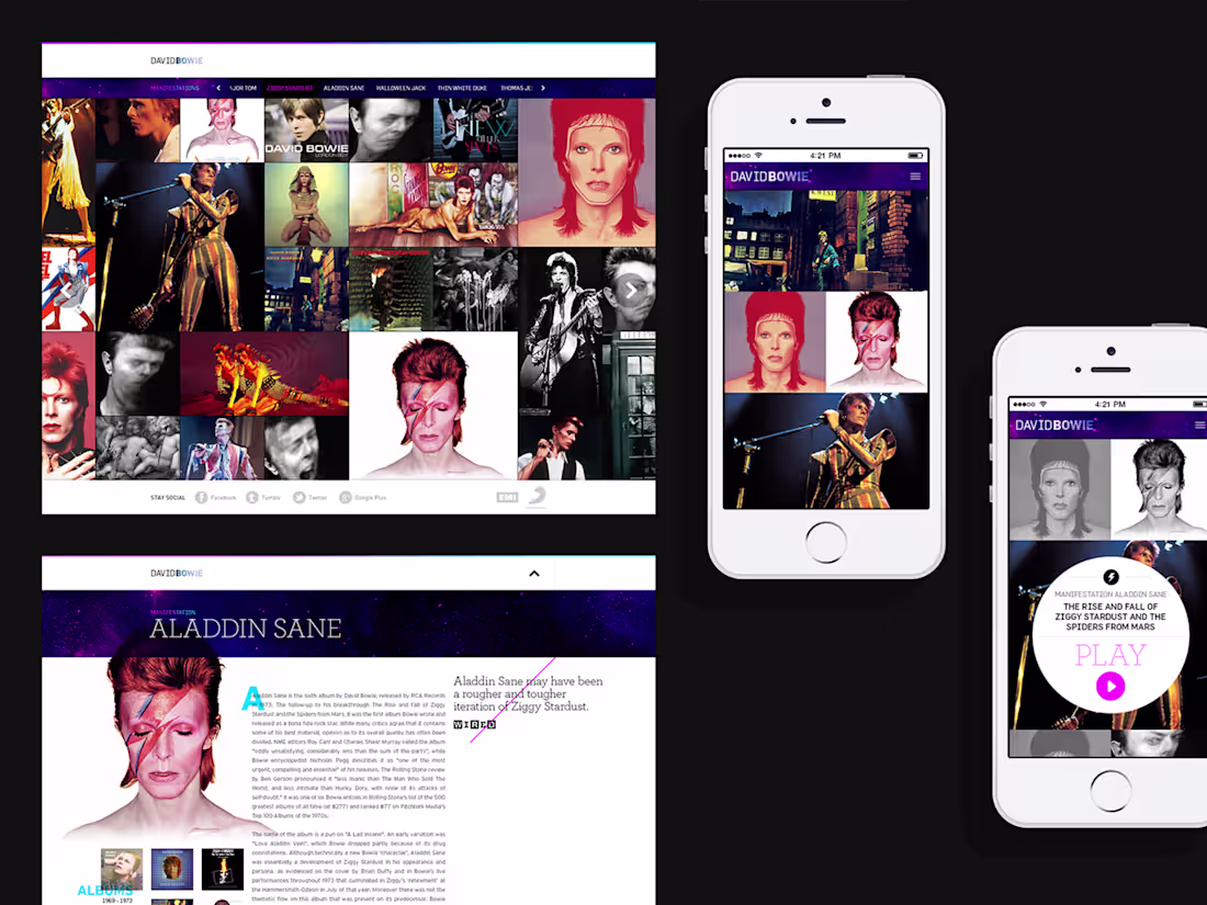 Cover image for David Bowie Manifestation