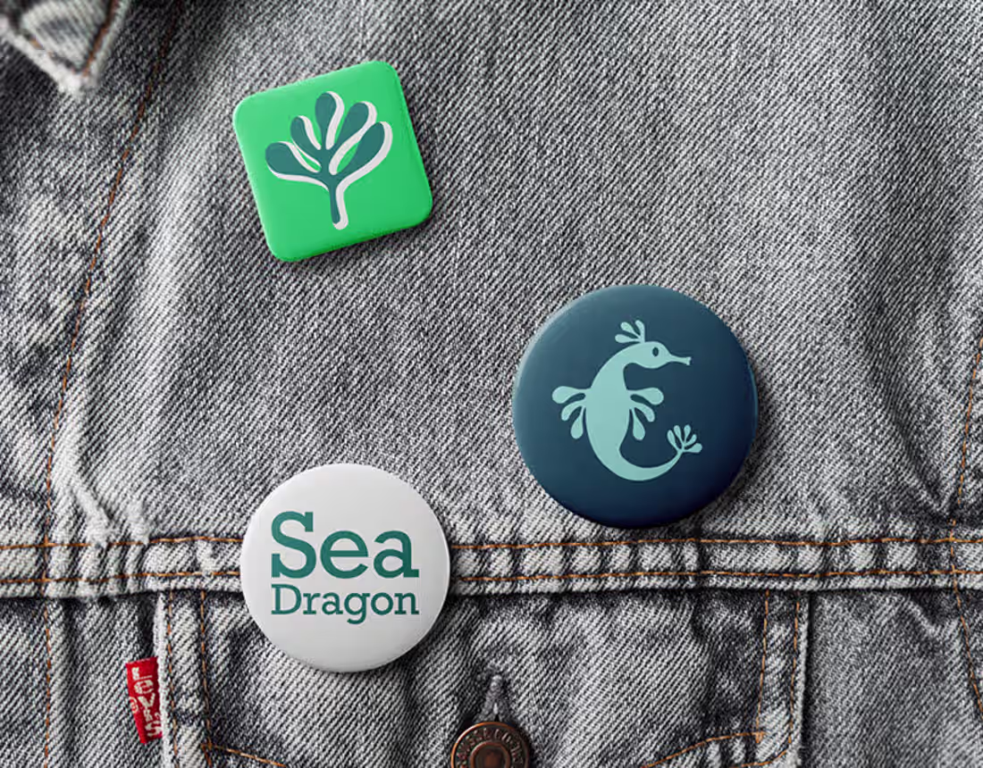 Cover image for Seadragon Publishing: Brand Identity