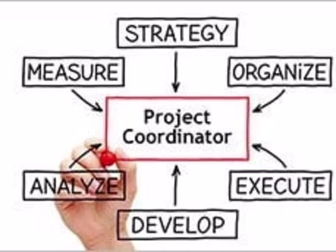 Cover image for Project Coordinator 