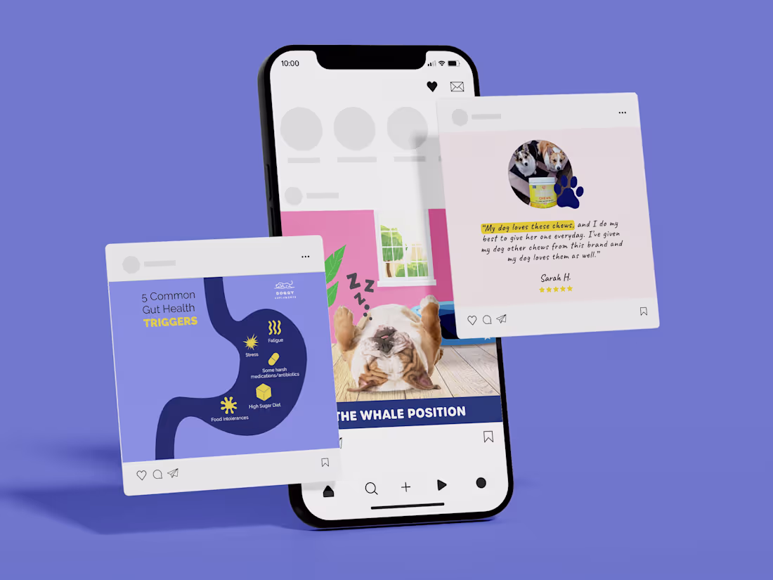 Cover image for Doggy Carrousels