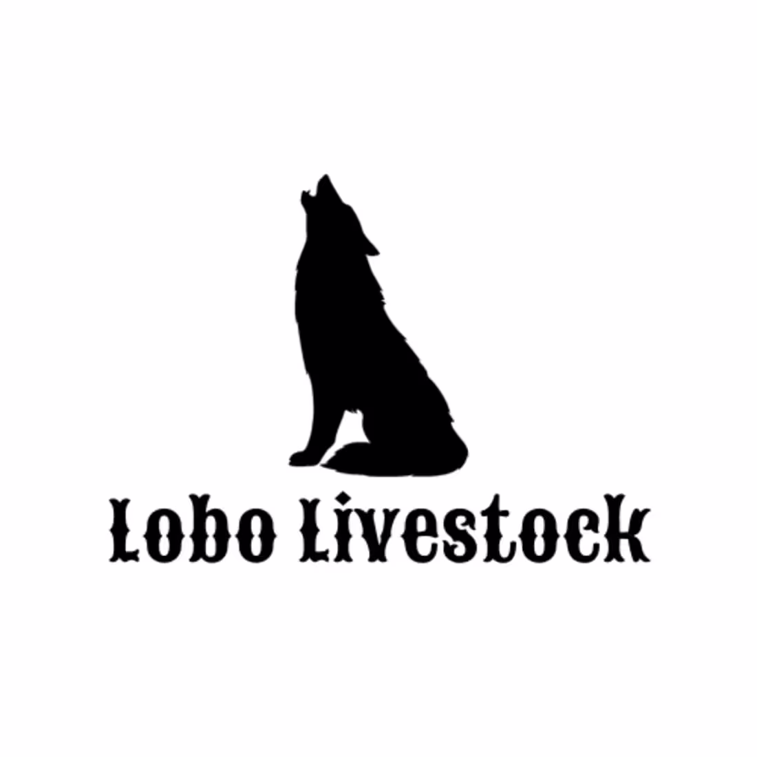 Cover image for Lobo Livestock