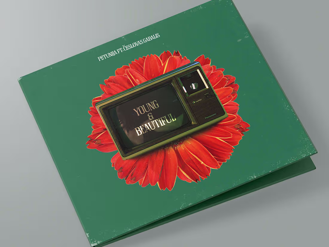 Cover image for .visuals for song "Young & Beautiful"