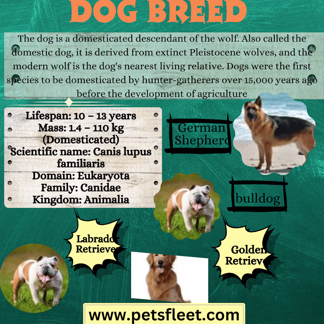 Cover image for infographics design