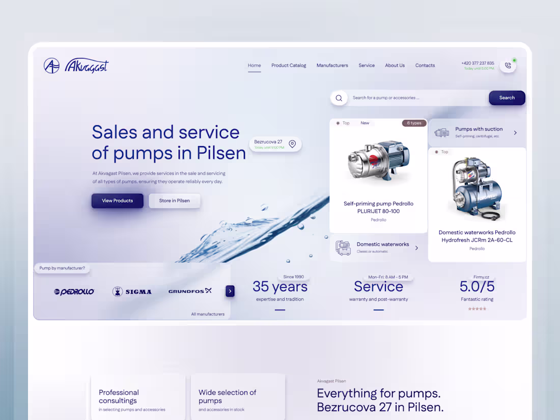 Cover image for Website with a product catalog for the pump seller