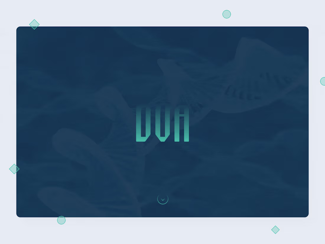 Cover image for DVA Website and Logo