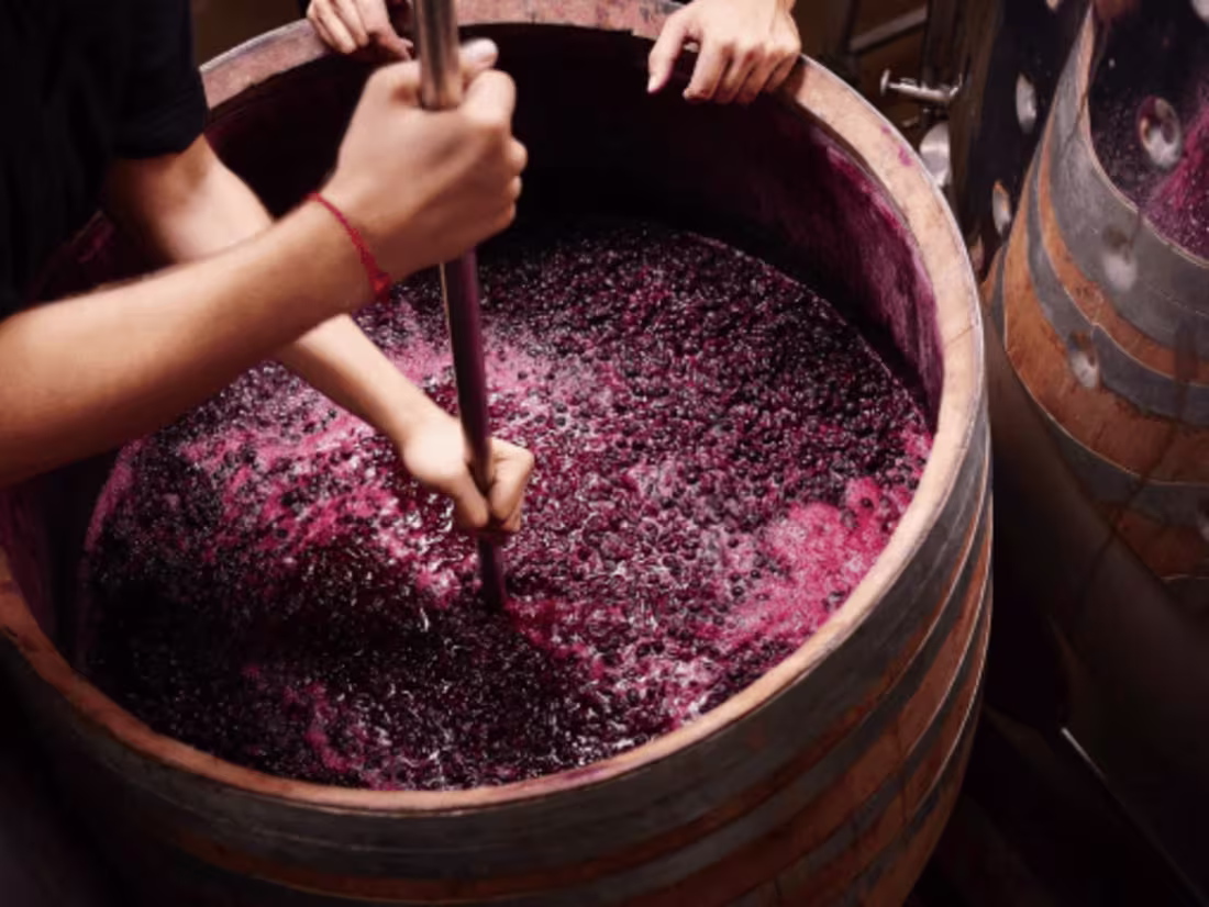 Cover image for From Cellar to Glass, Oeno Group Shares Its Insights for End-to…