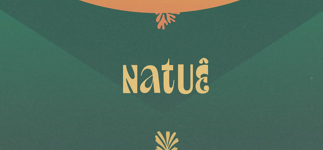 Cover image for Natuê - Brand Identity & Package Design