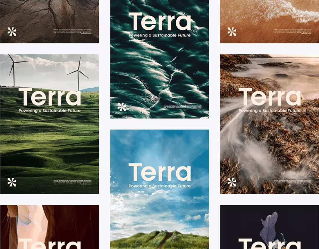 Cover image for Terra | Visual Identity Design