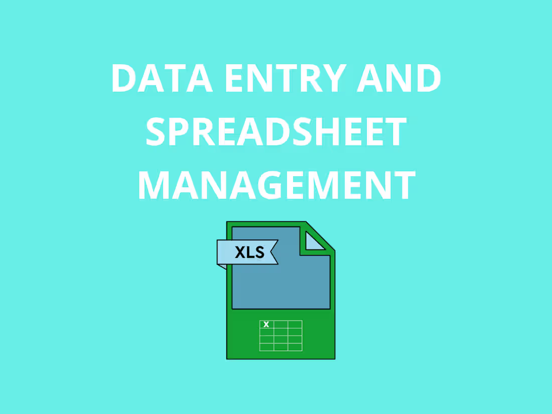 Cover image for Data Entry and Spreadsheet Management