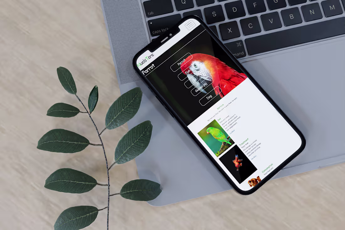 Cover image for This CMS project left my client wondering how I come up with...