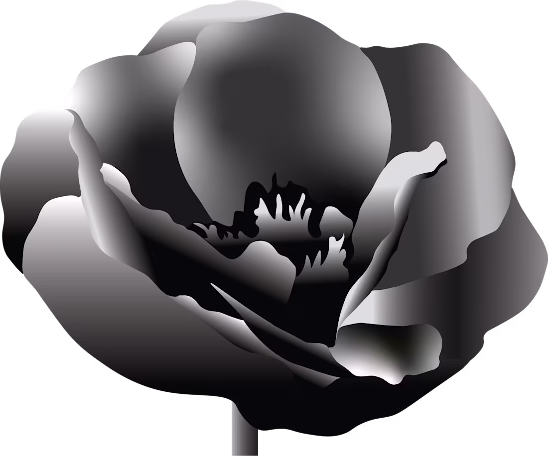 Cover image for FLOWER ASSETS