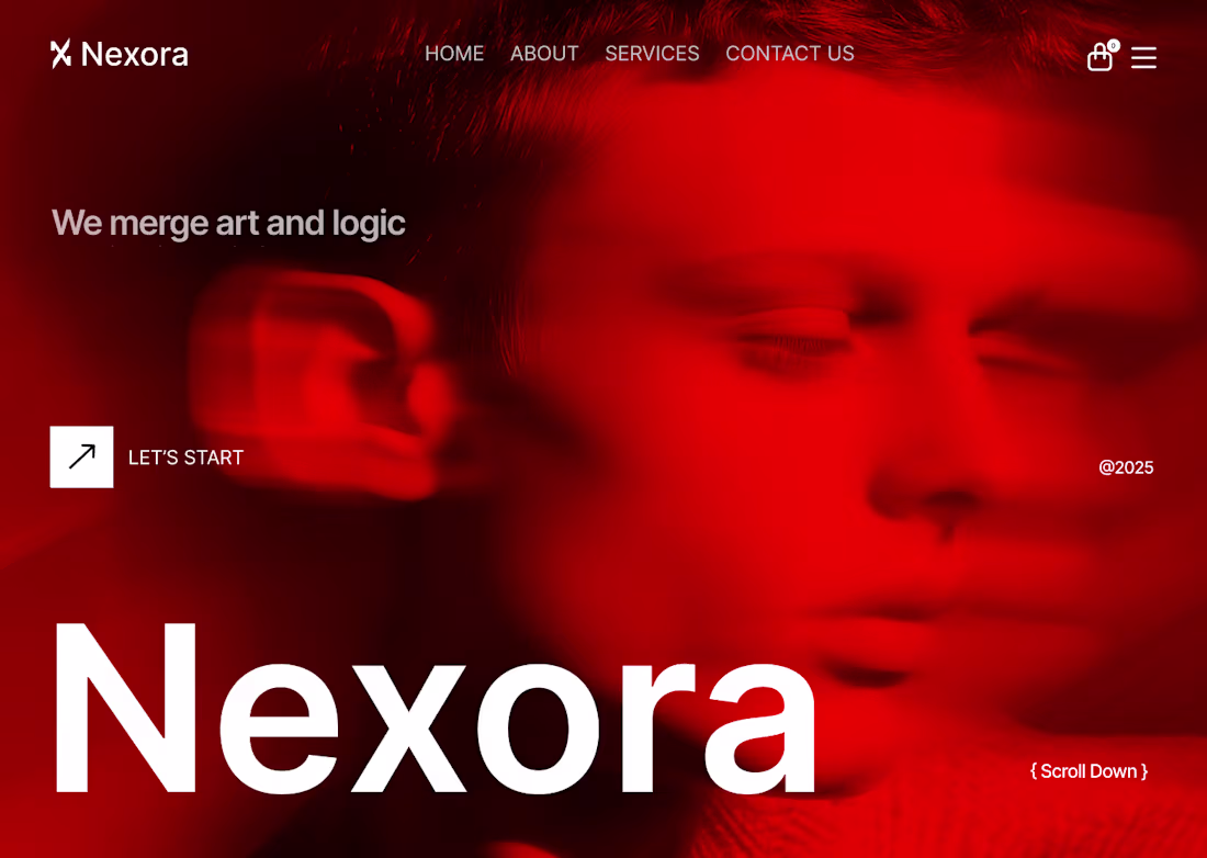 Cover image for Nexora Agecy