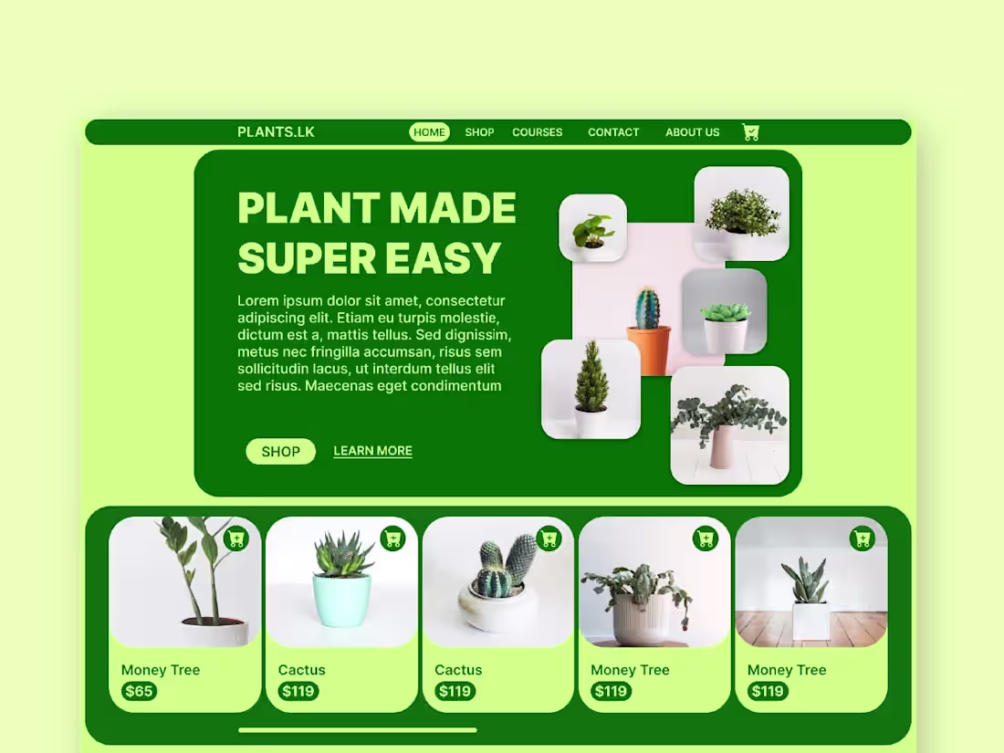 Cover image for Website Design for Plant Shop