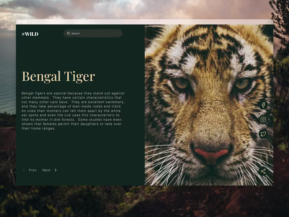 Cover image for Wildlife landing page