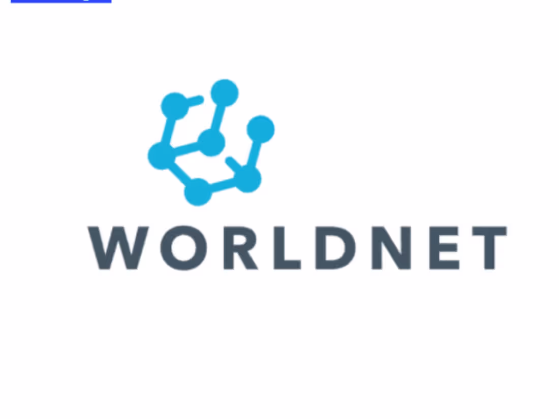 Cover image for WorldNet Brand Identity