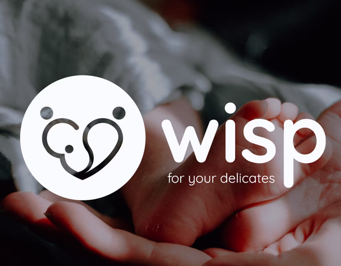Cover image for wisp | Kids clothing Brand Visual identity on Behance