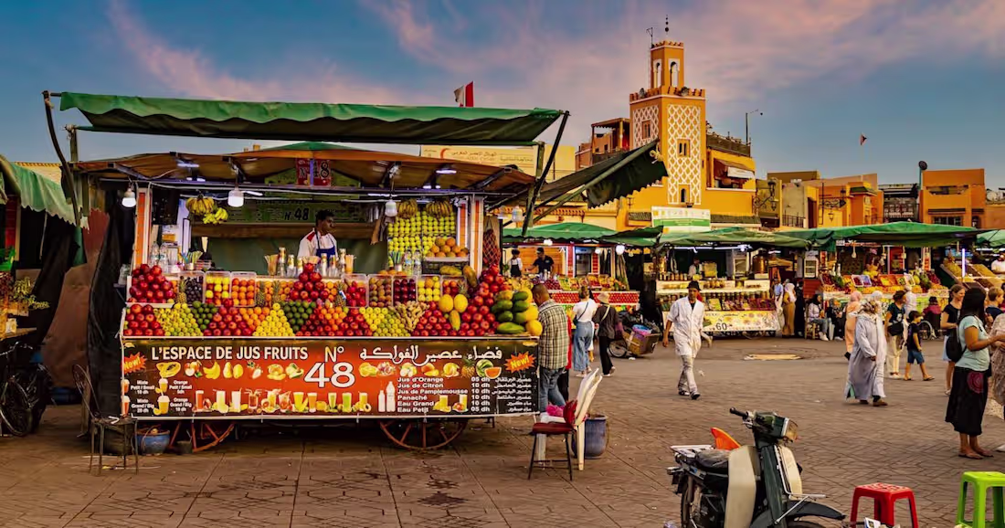 Cover image for Freelance Writing Projects