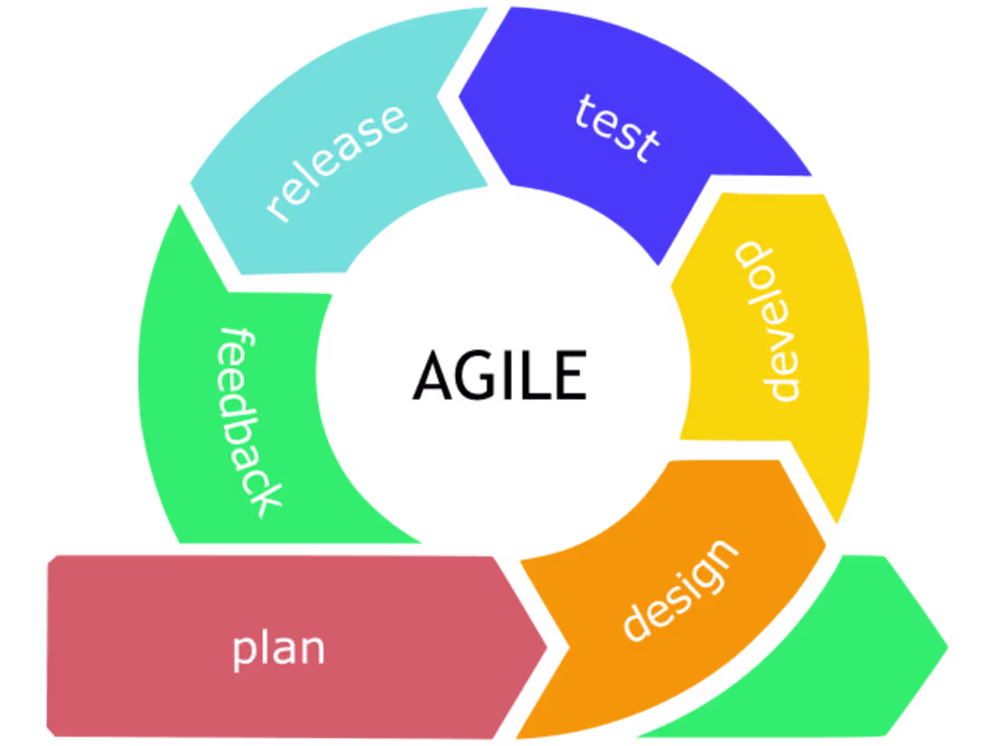 Cover image for Software Project Management: Vision to Reality