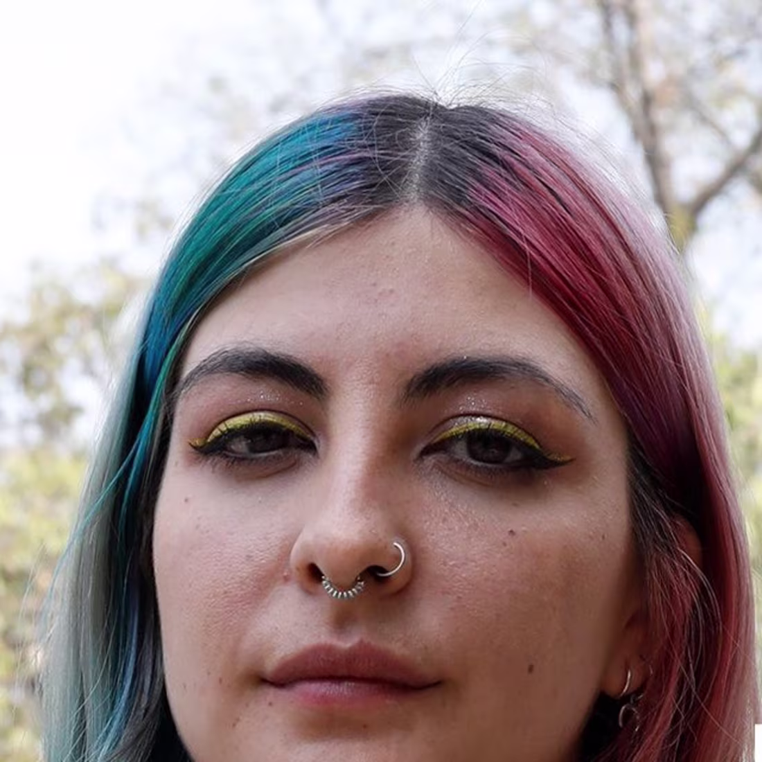 Cover image for Converse 