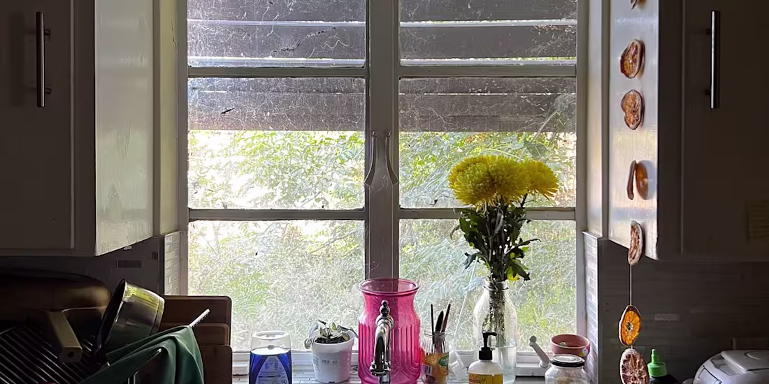 Cover image for Edible Thoughts: Reflections on Home and Creativity