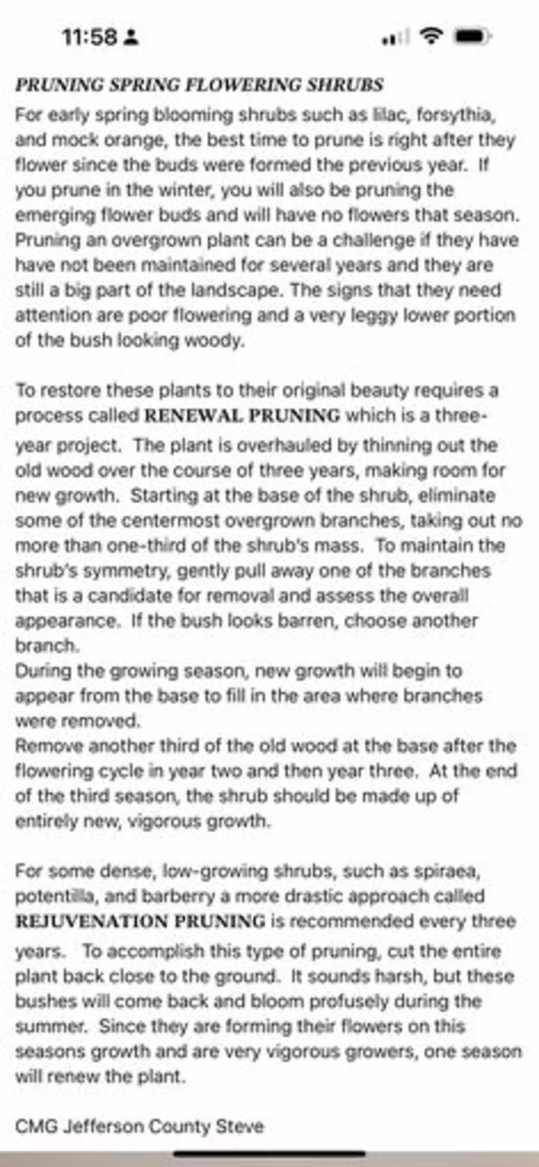 Cover image for Overtime Pain Relief Lotion Ad