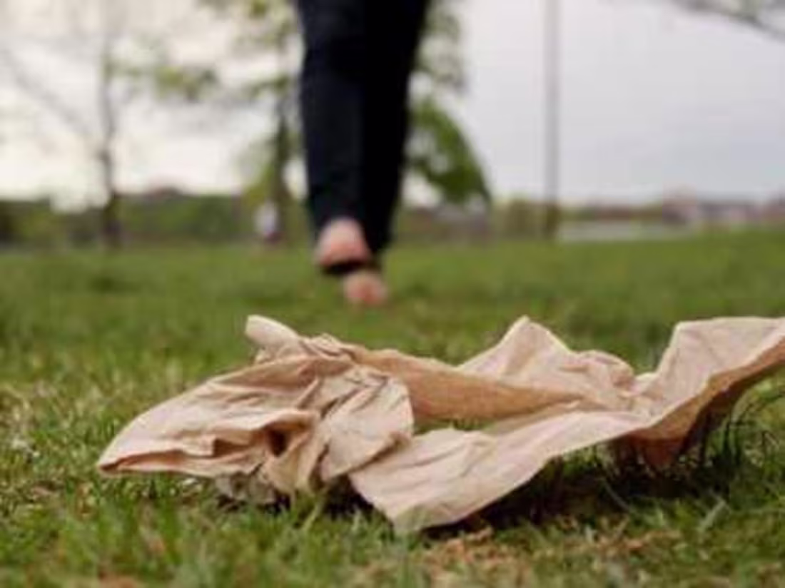 Cover image for The Daily Free Press