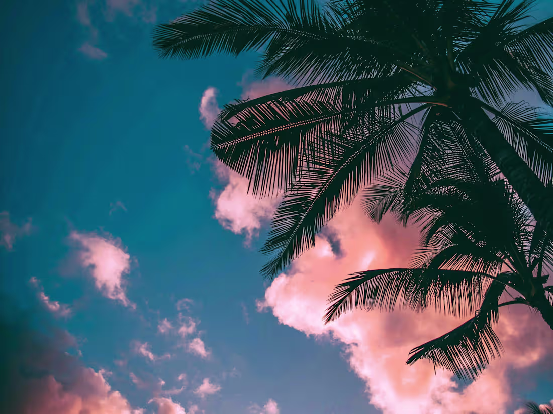 Cover image for Knowledge quest