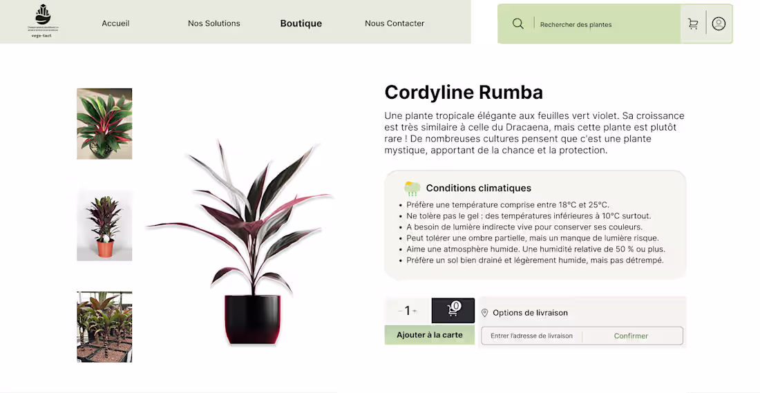 Cover image for Vege-Tact: Green Project