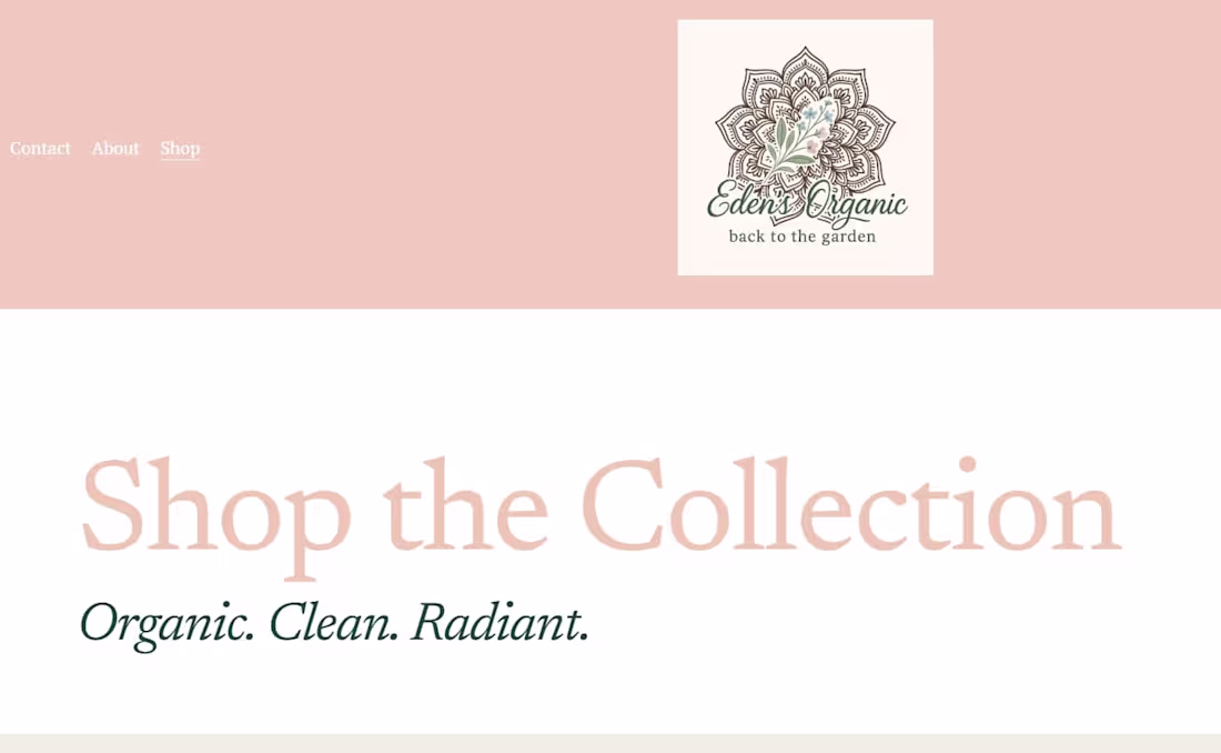 Cover image for Website Design for an organic beauty product business