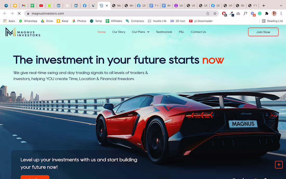 Cover image for Magnus Investors