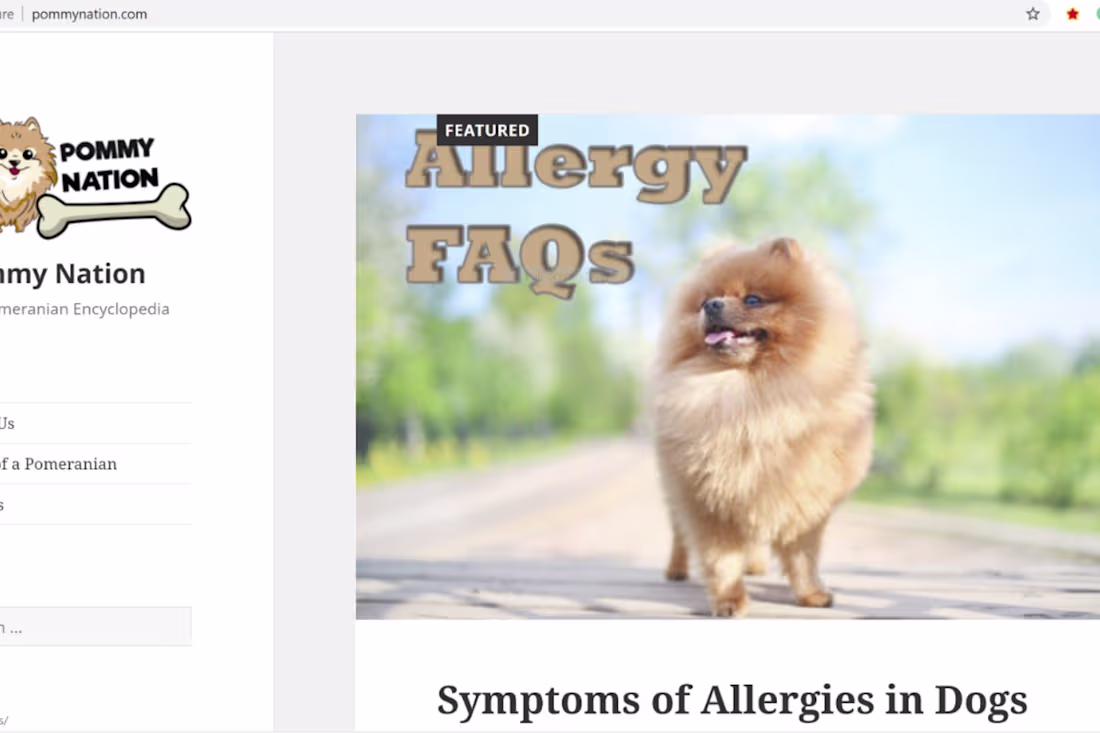 Cover image for Website and Seo service