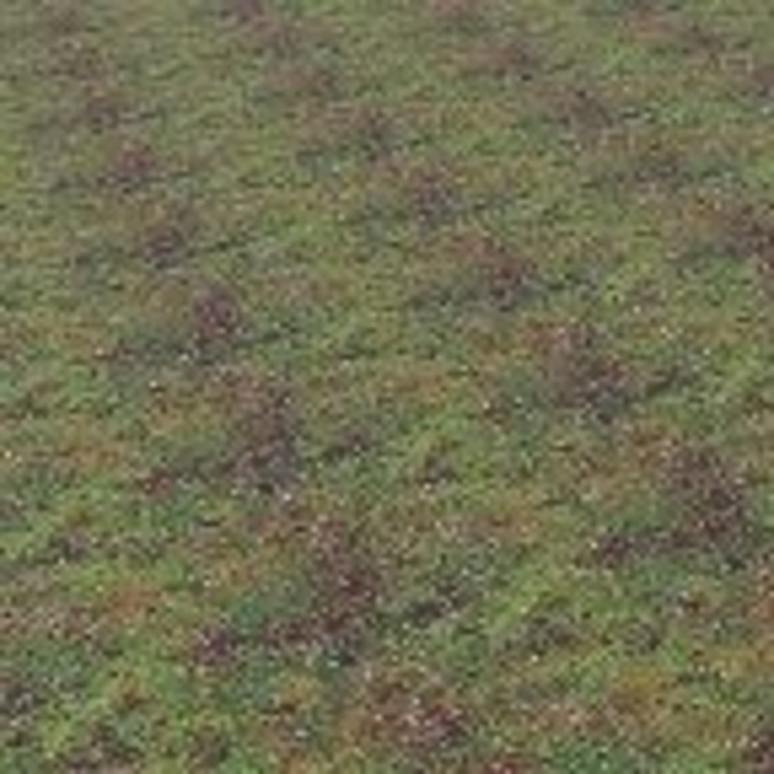 Cover image for Ginebra Velarde on Instagram: “Tiny house design and animation”