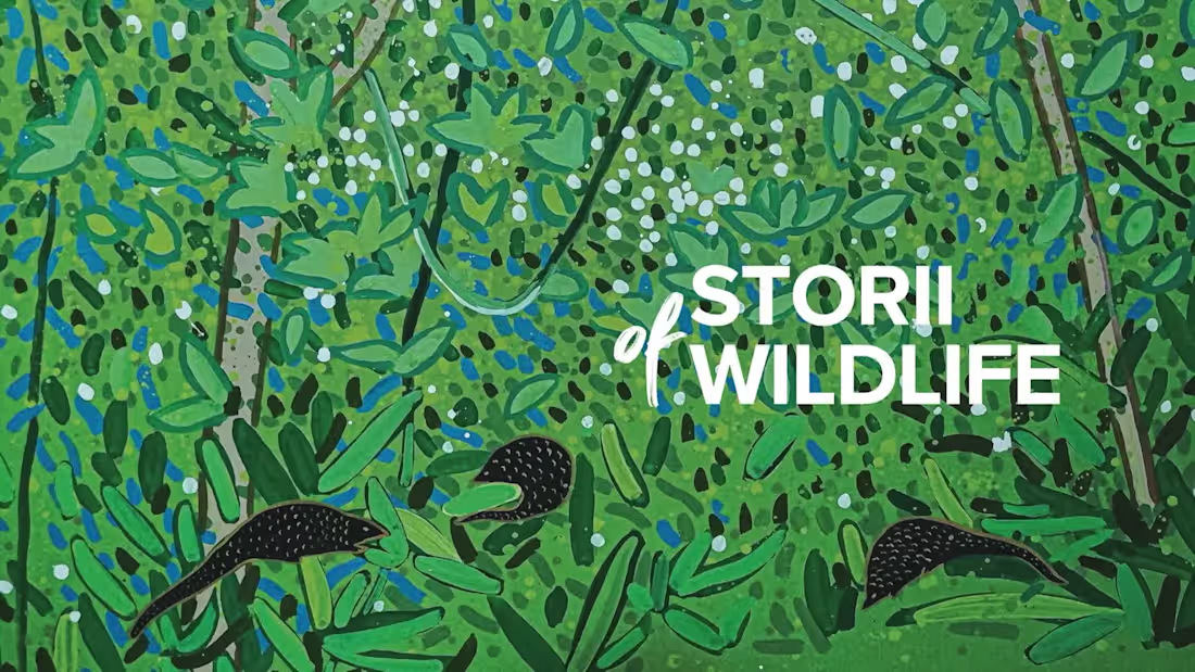 Cover image for STORII OF WILDLIFE - EP.02_ “TỰ DO” 