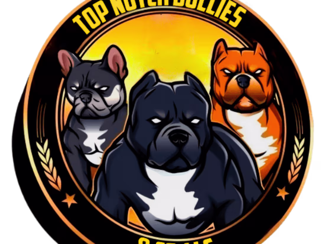 Cover image for Logos