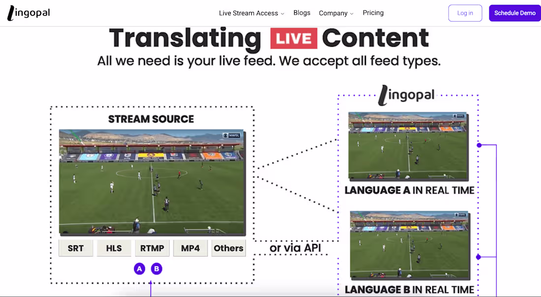 Cover image for Lingopal.ai