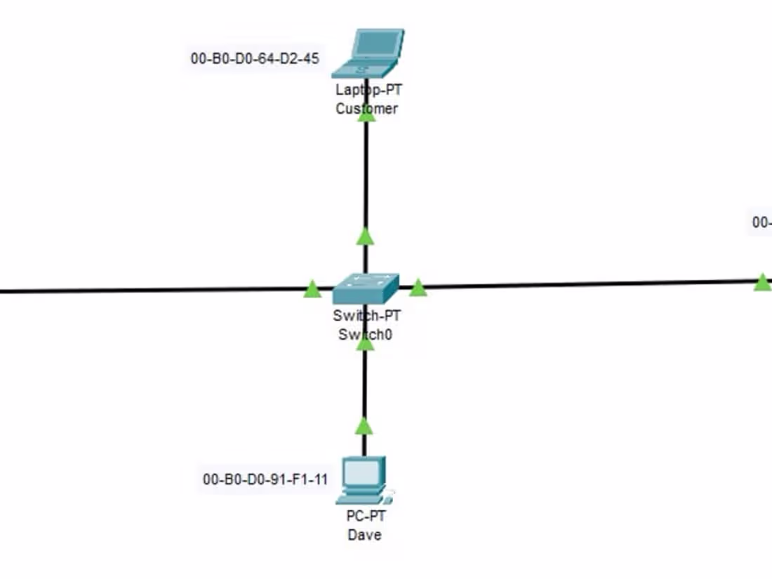 Cover image for Networking 