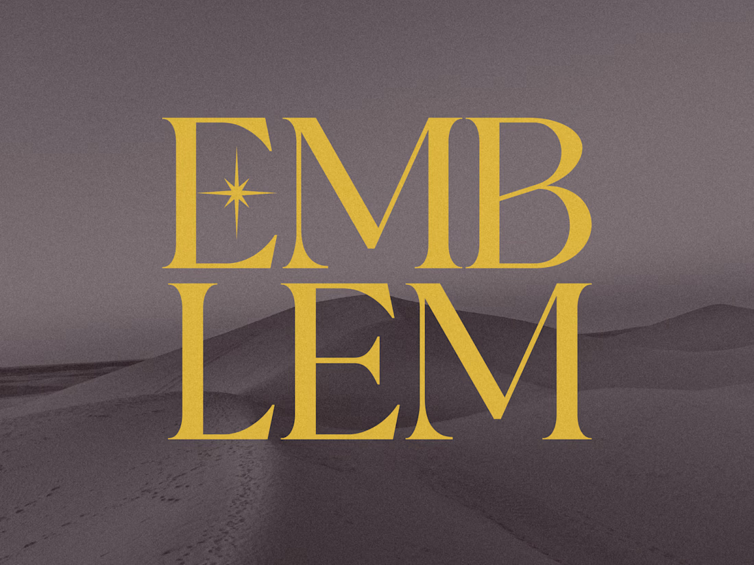 Cover image for Rising Star