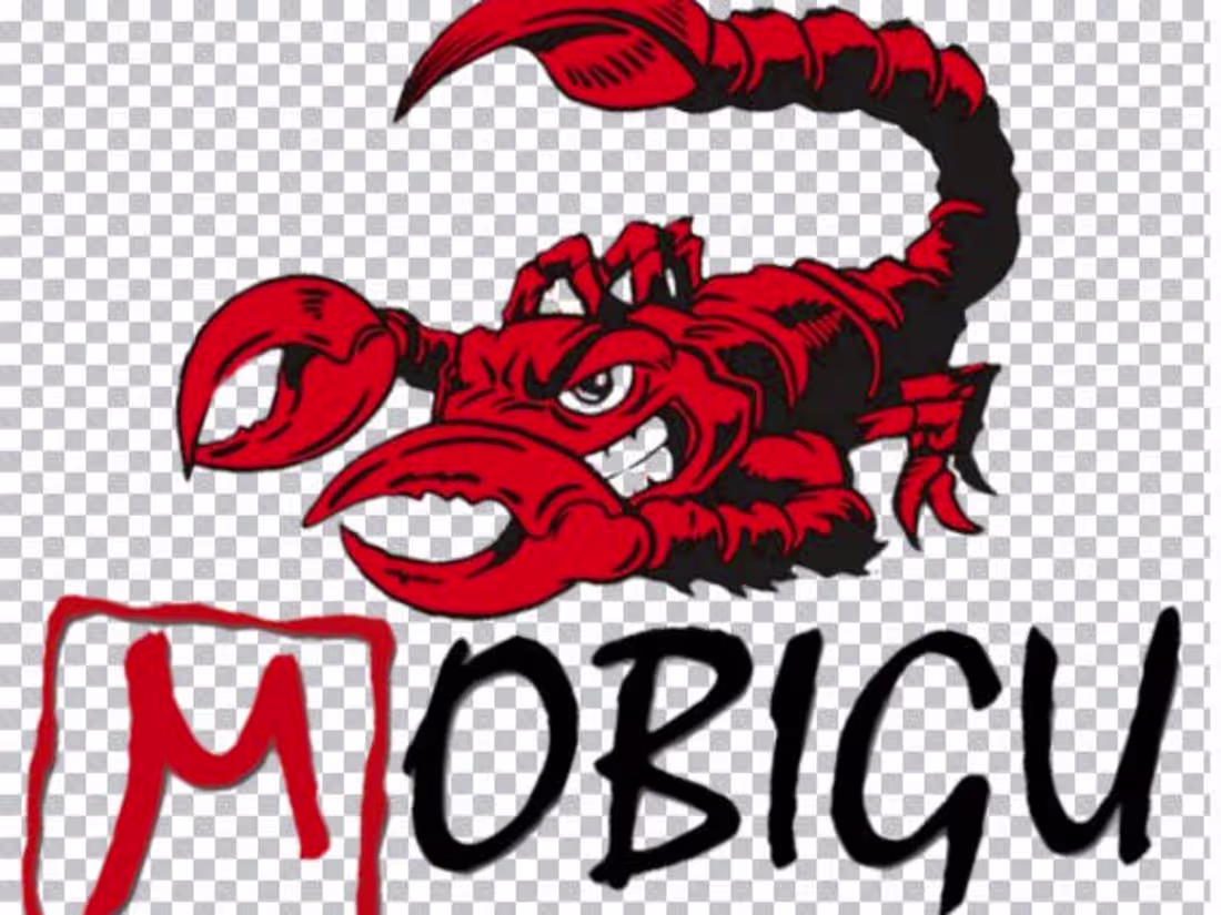 Cover image for Mobigu